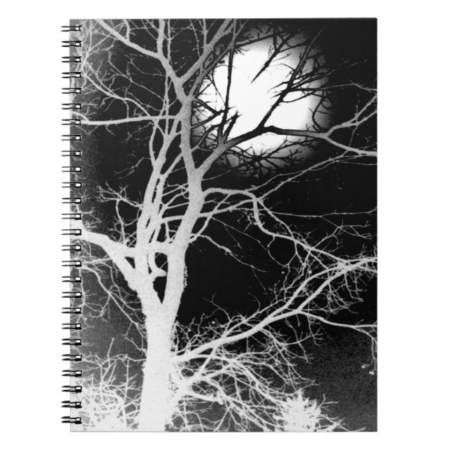 Caderno Espiral Luz (Frente)