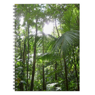 Caderno Espiral Luz do sol através da capa tropical da floresta tr