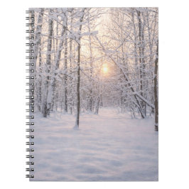 Caderno Espiral Luz_dourada_de_inverno