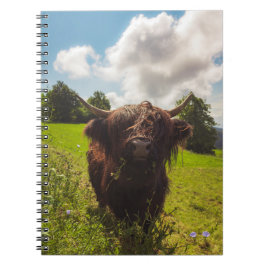 Caderno Espiral Luz verde do campo verde da vaca em lata negra