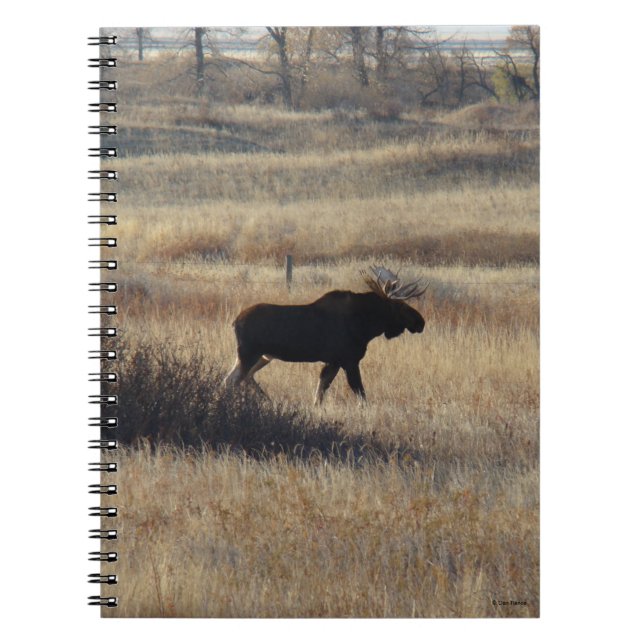 Caderno Espiral M5 Alce Macho e Colinas de Areia (Frente)