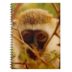 Caderno Espiral Macaco Cheeky.