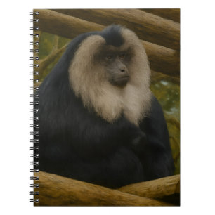 Caderno Espiral Macaco de Forno Leão no Santuário da Floresta