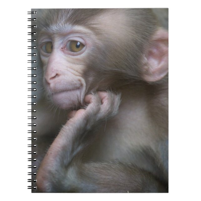 Caderno Espiral Macaco do bebê (Frente)