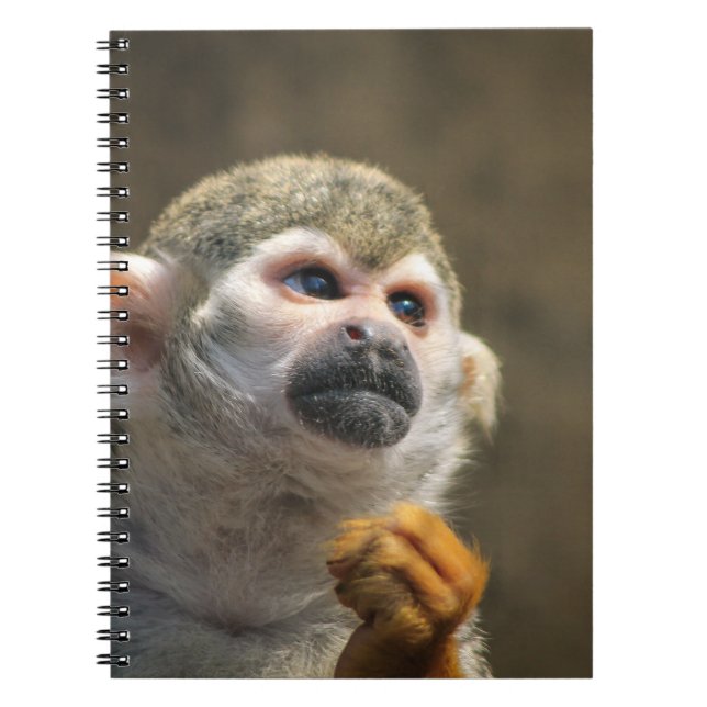 Caderno Espiral Macaco Intenso (Frente)