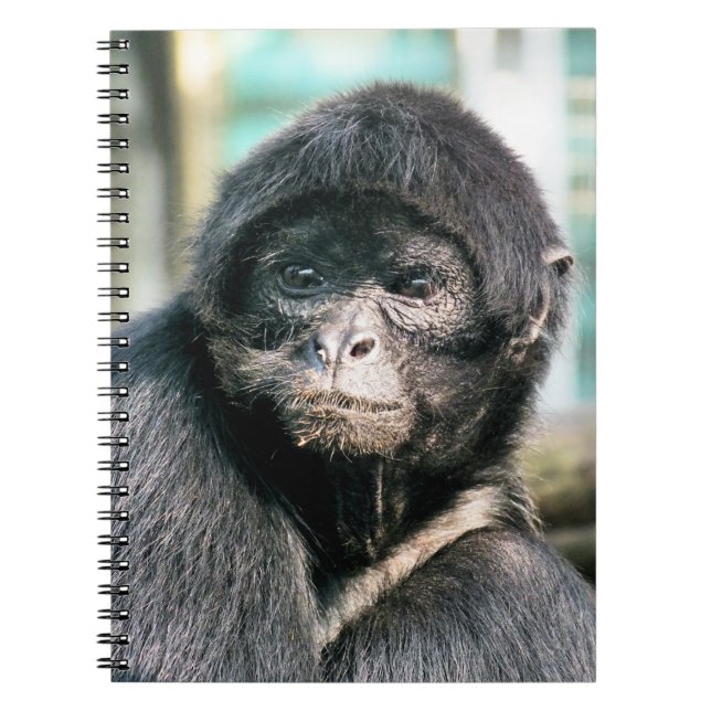 CADERNO ESPIRAL MACACOS (Frente)