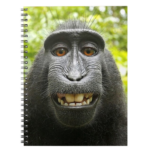 Caderno Espiral Macaque com crista de sorriso de Celebes (Frente)