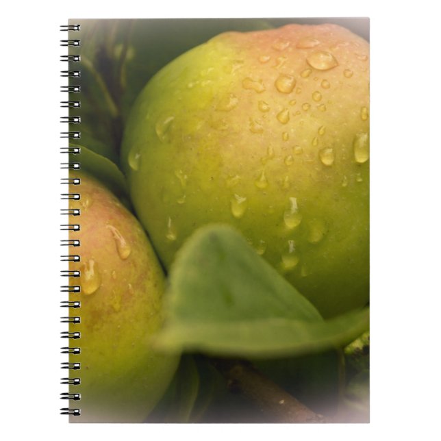 Caderno Espiral Maçãs verdes frescas com gotas de chuva (Frente)