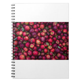 Caderno Espiral Maçãs Vermelhas