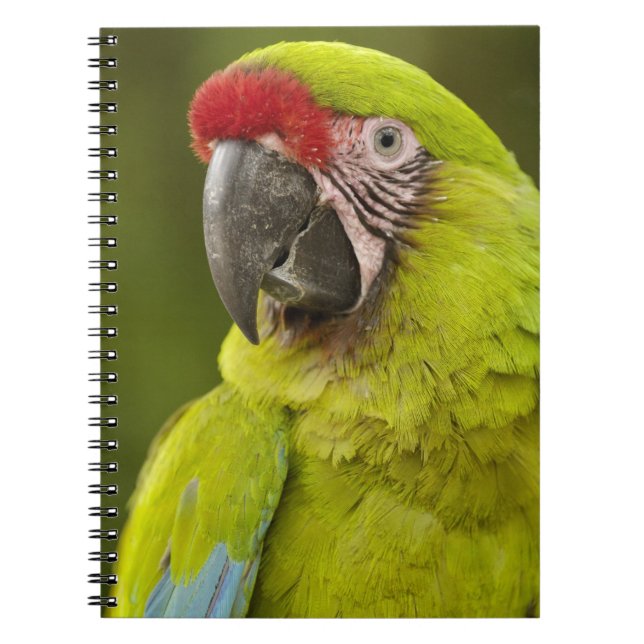 Caderno Espiral Macaw Militar (Frente)