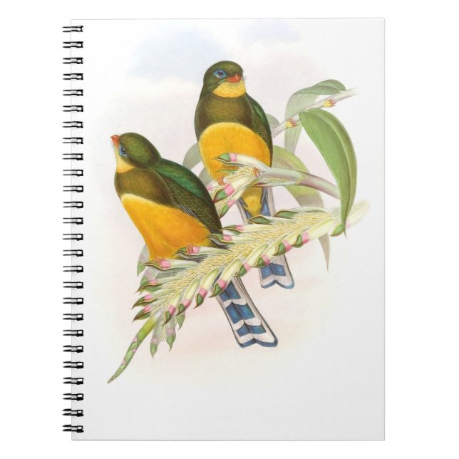 Caderno Espiral Macklot's Trogon, (Frente)