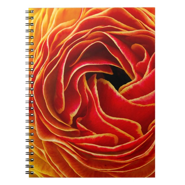 Caderno Espiral Macro Flor | Campos de Flores Carlsbad, CA (Frente)