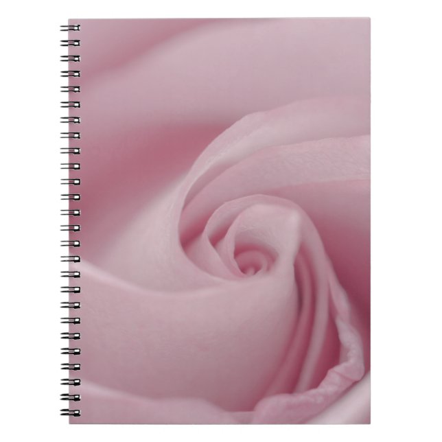 Caderno Espiral Macro Rosa Rosa Rosa Rosa Rosa Rosa Rosa Rosa Rosa (Frente)