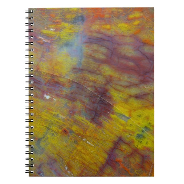 Caderno Espiral Madeira Petrificada (Frente)