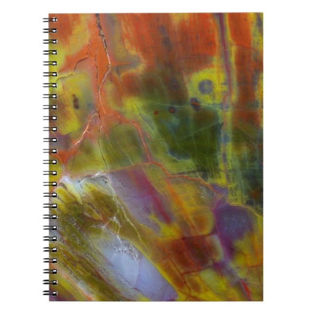 Caderno Espiral Madeira Petrificada Arco-íris (Frente)