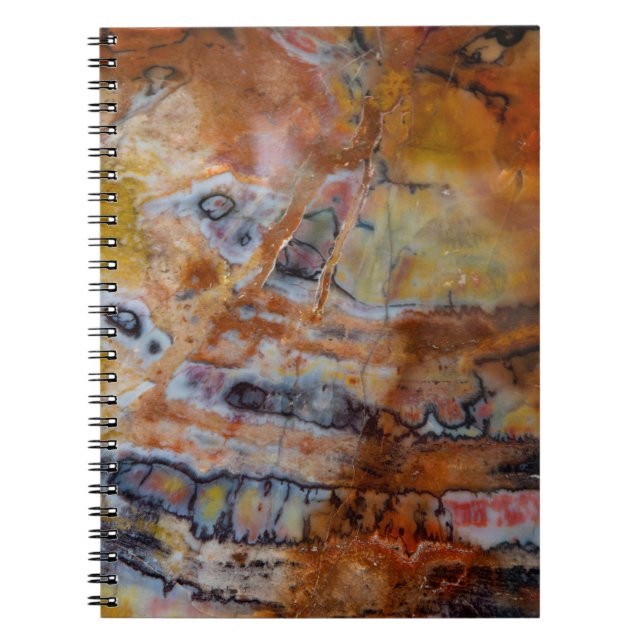 Caderno Espiral Madeira Petrificada Marrom (Frente)