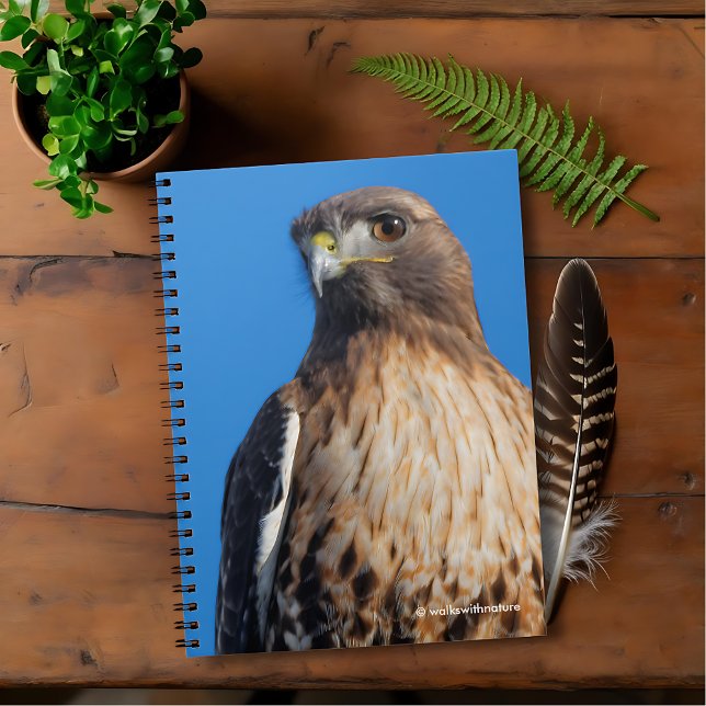 Caderno Espiral Magnífico Falcão de Altura Vermelha no Sol (Magnificent Red-Tailed Hawk in the Sun Journal Cover Photo 1)