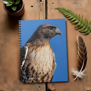 Caderno Espiral Magnífico Falcão de Altura Vermelha no Sol
