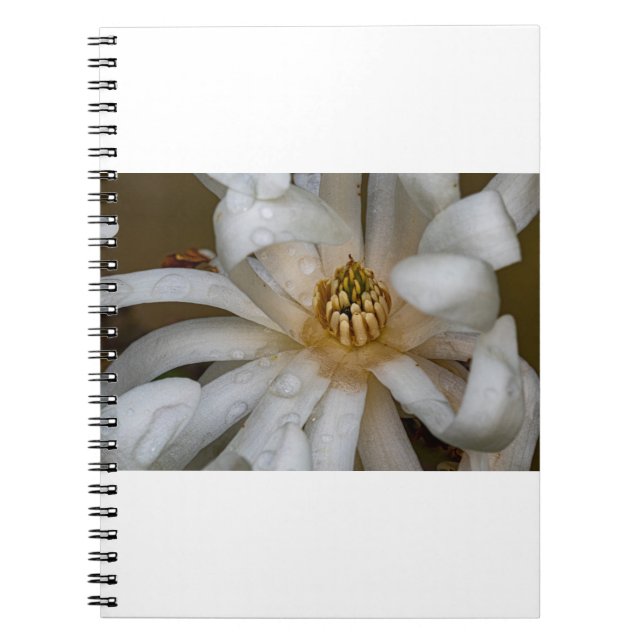 Caderno Espiral Magnolia éhigié (Frente)