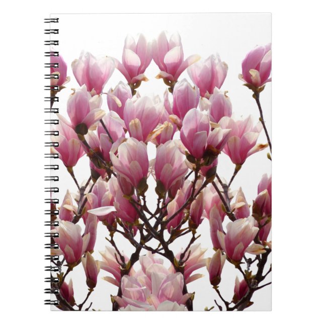 Caderno Espiral Magnólias Rosa em Flor - Flor de Primavera (Frente)