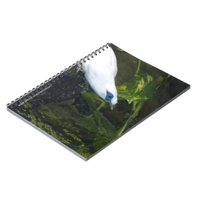 Caderno Espiral Mainá-de-bali (Left Side)