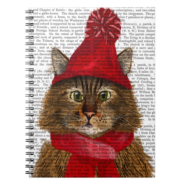 Caderno Espiral Maine Coon Cat (Frente)