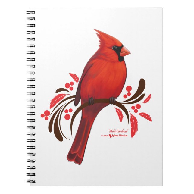Caderno Espiral Male Cardinal (Frente)
