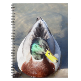 Caderno Espiral Mallard Duck