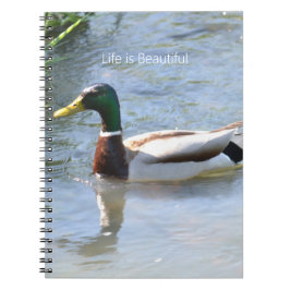 Caderno Espiral Mallard Duck (my photography)