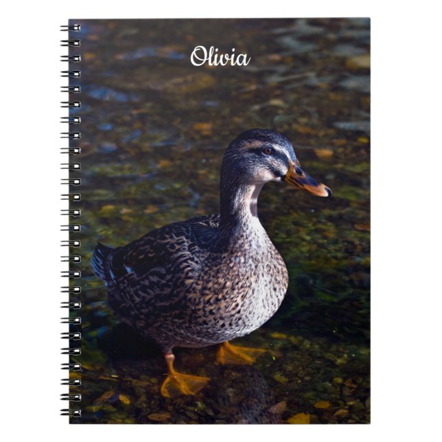 Caderno Espiral Mallard Duck Spiral notebook (Frente)