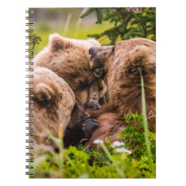 Caderno Espiral Mamãe urso cuidando de seus dois filhotes, Lago Cl