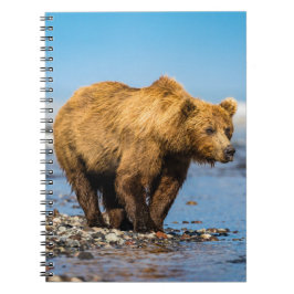 Caderno Espiral Mamãe urso observando seus dois filhos