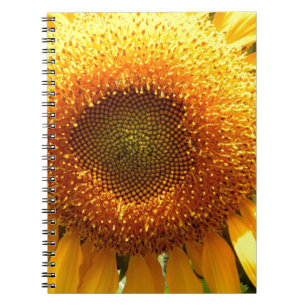 Caderno Espiral Mamute amarelo-gigante Girassol