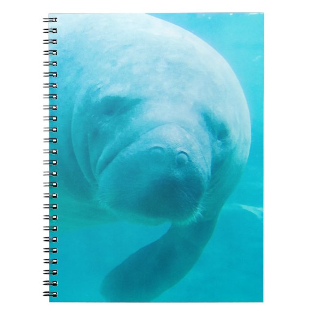 Caderno Espiral Manatee (Frente)