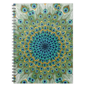 Caderno Espiral Mandala colorida do pavão masculino