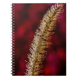 Caderno Espiral Manhã