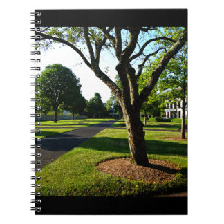 Caderno Espiral Manhã cedo na Paddock