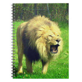 Caderno Espiral Mano Lion