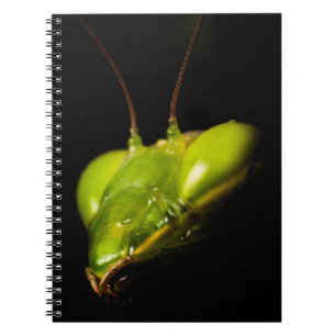 Caderno Espiral Mansite de oração