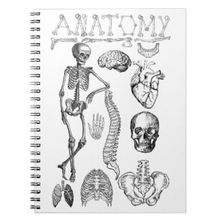 Caderno Espiral Manual da Anatomia Humana para notas