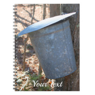 Caderno Espiral Maple Sugar Sap Bucket On Tree Nature