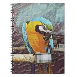 CADERNO ESPIRAL MÁQUIA CUTA