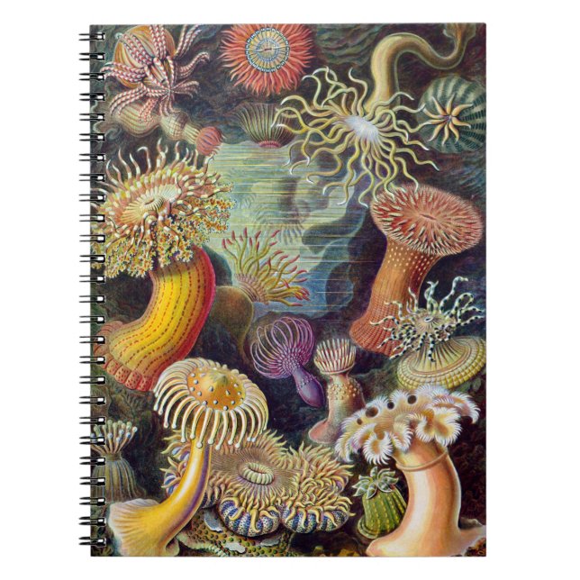 Caderno Espiral Mar Anêmona Natureza Científica Oceânica (Frente)