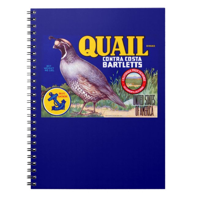 Caderno Espiral Marca Contra Costa Bartletts (Frente)