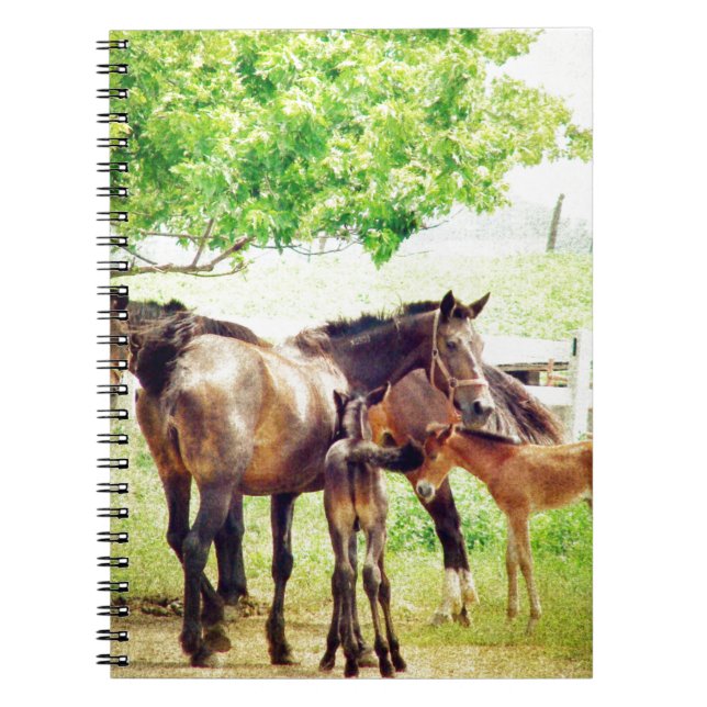 Caderno Espiral Mares e Pés (Frente)