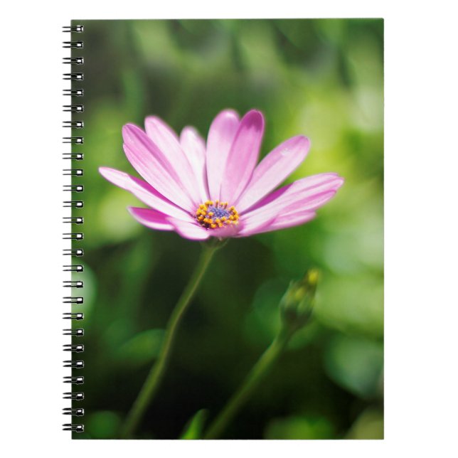 Caderno Espiral margarida africana (Frente)