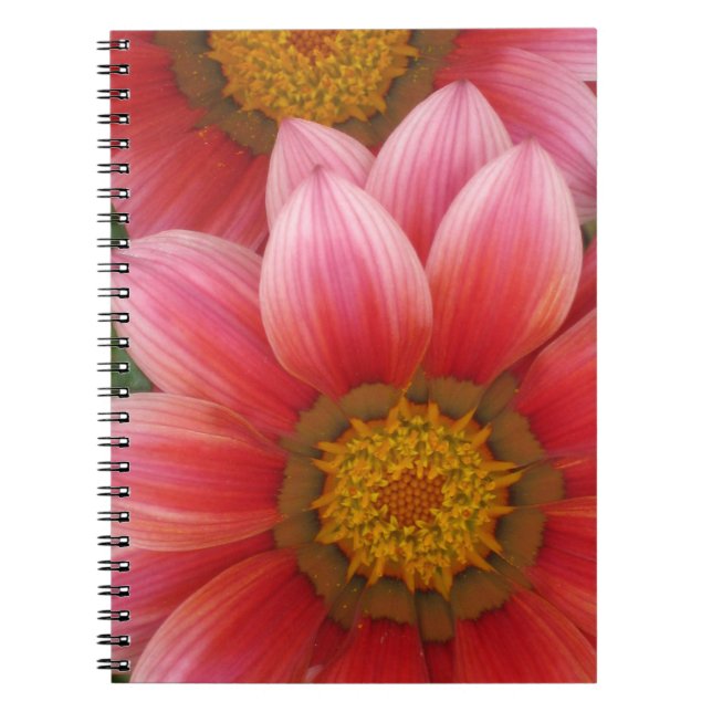 Caderno Espiral margarida africana (Frente)