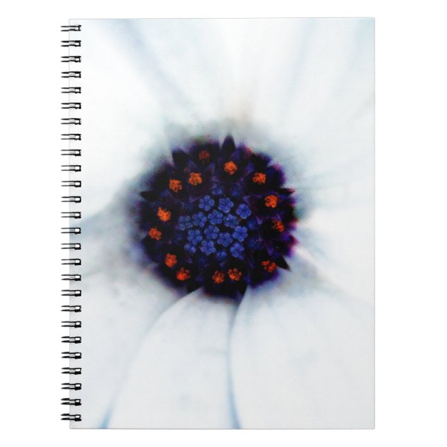 Caderno Espiral Margarida Africana Flor (Frente)