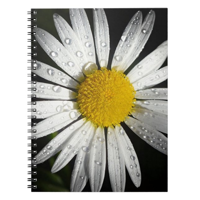 Caderno Espiral Margarida Branca (Frente)