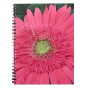 Caderno Espiral Margarida do Gerbera